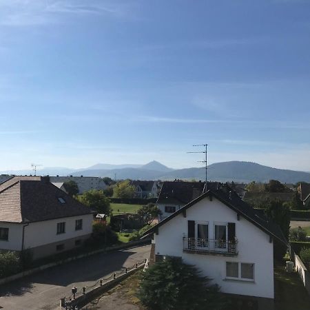 Appartement Chaleureux Et Lumineux Avec Vue ! Au Centre Alsace Sélestat Exteriér fotografie