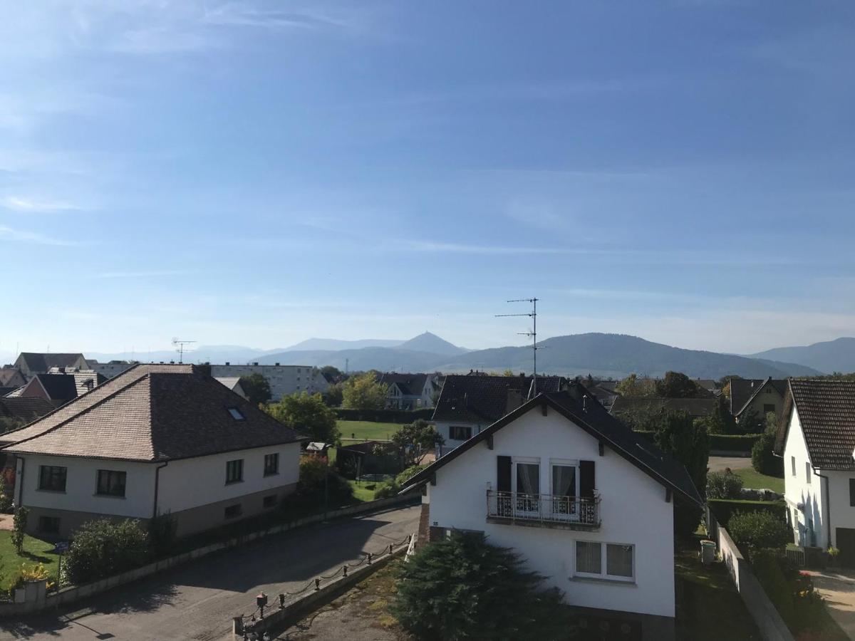 Appartement Chaleureux Et Lumineux Avec Vue ! Au Centre Alsace Sélestat Exteriér fotografie